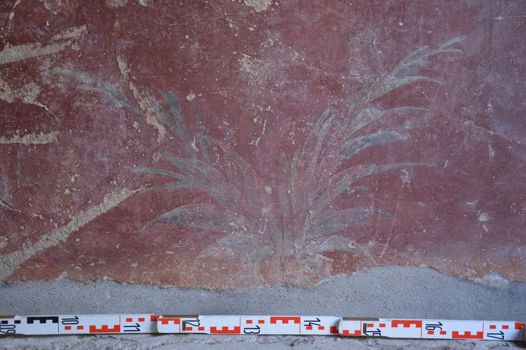 IX.5.9 Pompeii. May 2017. Room “l (L)”, detail of painted plants on zoccolo on lower north wall towards centre.
Foto Christian Beck, ERC Grant 681269 DÉCOR.