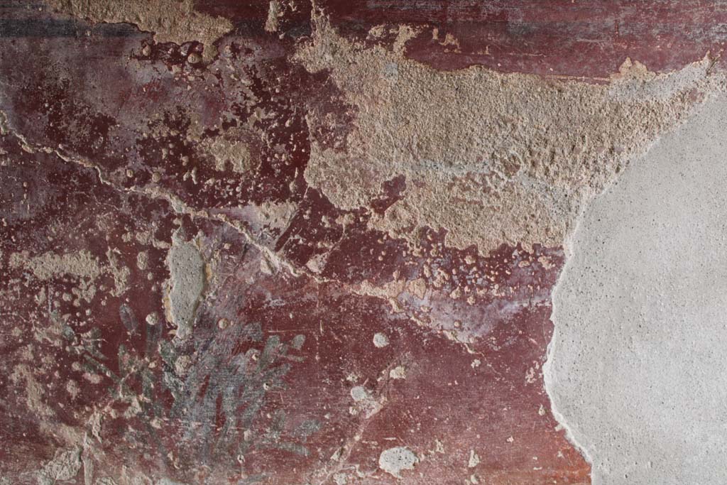 IX.5.9 Pompeii. May 2019. Room l (L), zoccolo on lower north wall at west end, continuation.
Foto Christian Beck, ERC Grant 681269 DÉCOR.