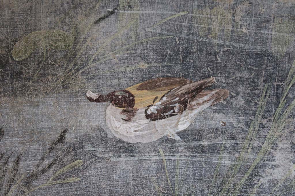 IX.5.9 Pompeii. May 2019. Room l (L), detail of duck on river.  
Foto Christian Beck, ERC Grant 681269 D�COR.
