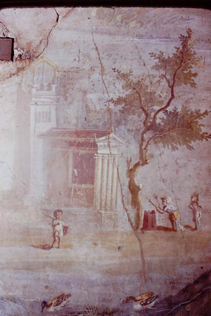 IX.5.9 Pompeii. 1974. Room 8. Painted wall decoration from south wall, west end.
Photo by Stanley A. Jashemski.
Source: The Wilhelmina and Stanley A. Jashemski archive in the University of Maryland Library, Special Collections (See collection page) and made available under the Creative Commons Attribution-Non Commercial License v.4. See Licence and use details. J74f0147