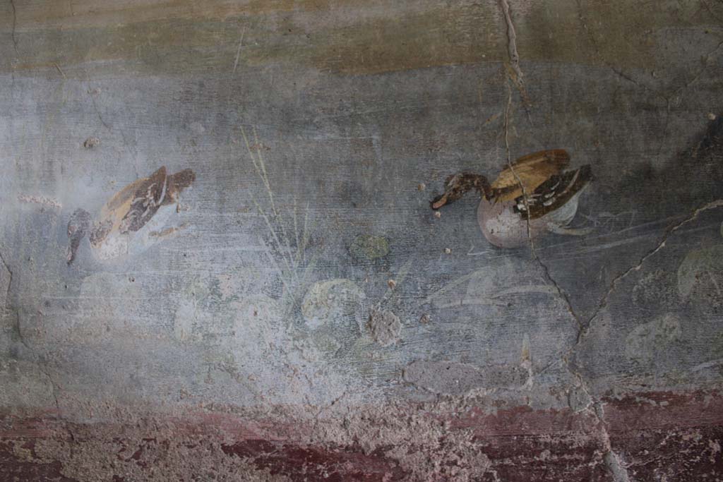 IX.5.9 Pompeii. May 2019. Room “l (L)”, two painted ducks from south wall at west end.
Foto Christian Beck, ERC Grant 681269 DÉCOR.