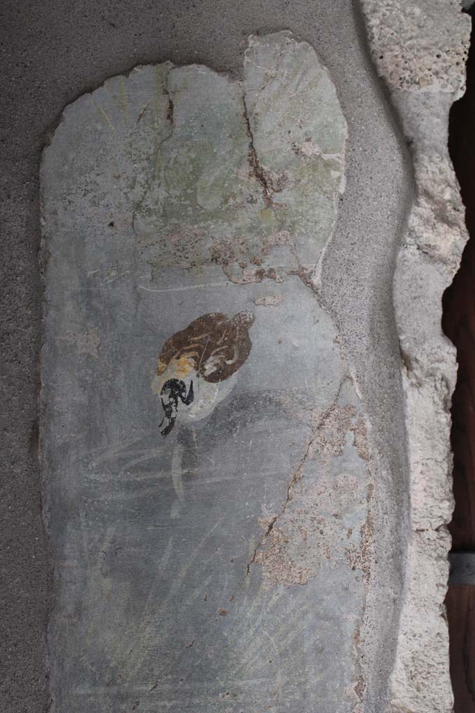 IX.5.9 Pompeii. May 2019.
Room “l (L)”, painted panel with duck from south wall at east end of window.
Foto Christian Beck, ERC Grant 681269 DÉCOR.