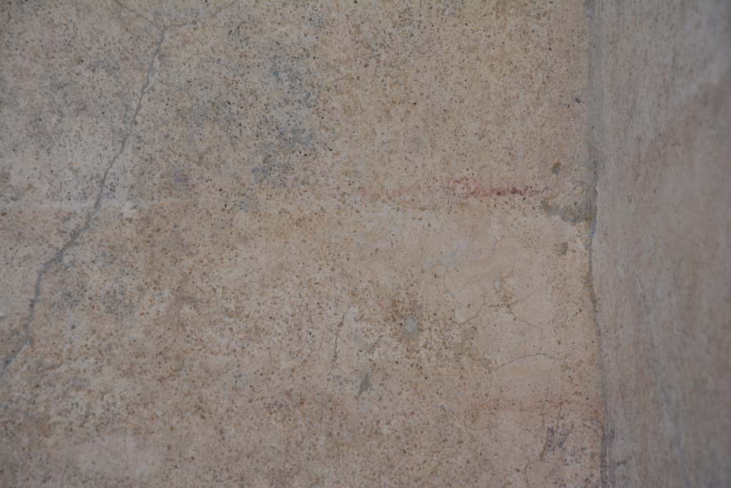 IX.5.9 Pompeii. May 2017. Room “m”, detail from south wall in south-west corner.
Foto Christian Beck, ERC Grant 681269 DÉCOR.