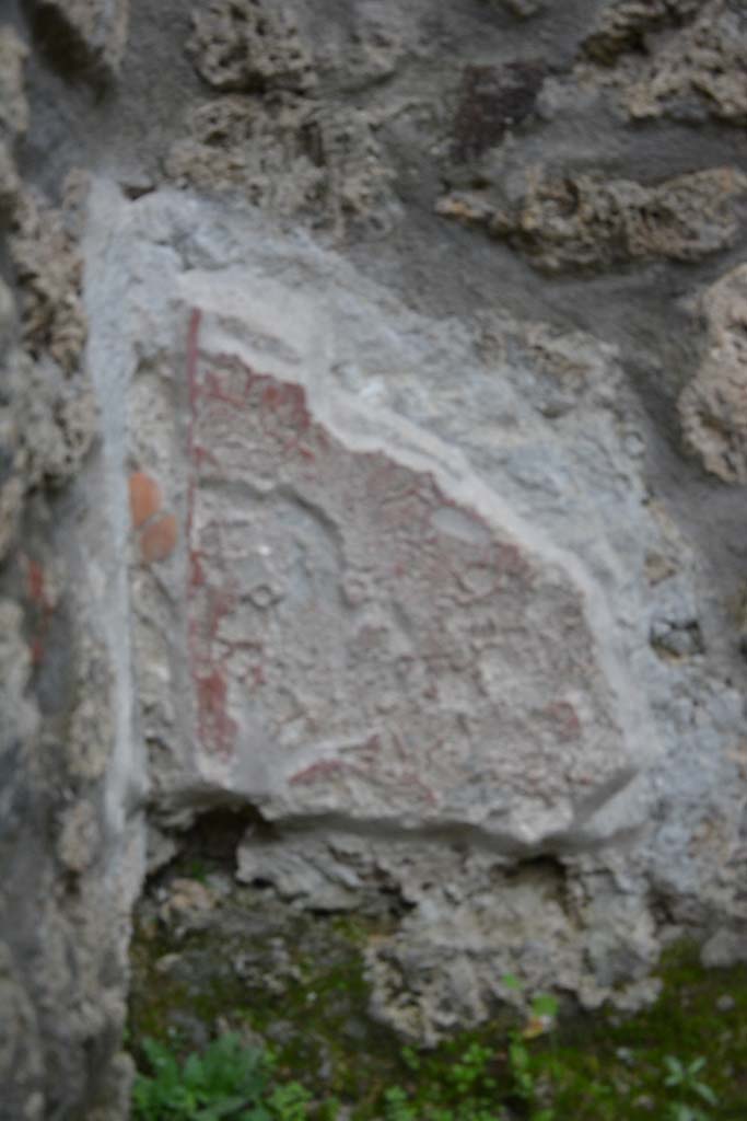 IX.5.9 Pompeii. March 2017. Room �n/q�, detail from east end of south wall.  
Foto Christian Beck, ERC Grant 681269 D�COR.
