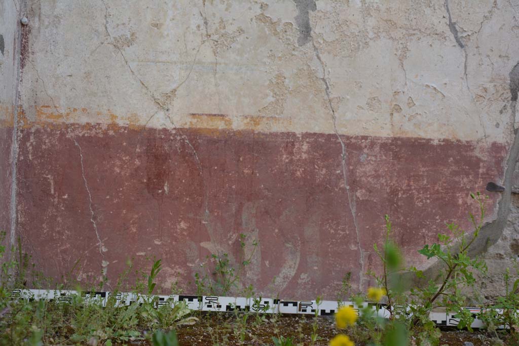 IX.5.9 Pompeii. May 2017. Room “o”, detail of zoccolo at base of north wall in north-west corner.
Foto Christian Beck, ERC Grant 681269 DÉCOR.