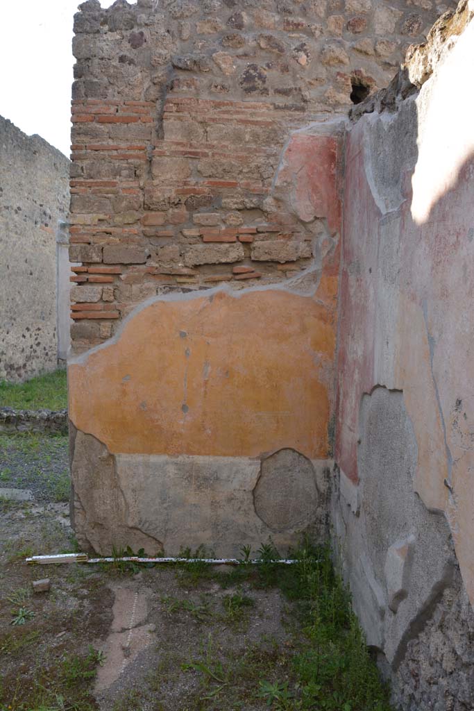 IX.5.9 Pompeii. May 2017. Room “p”, north wall in north-east corner.
Foto Christian Beck, ERC Grant 681269 DÉCOR.
According to PPM –
The north wall was also painted with a black zoccolo with painted plants in panels; the middle zone was a yellow painted panel with carpet border of semicircles. The IV Style decoration in this room had simple paintings of animals.
See Carratelli, G. P., 1990-2003. Pompei: Pitture e Mosaici. IX (9). Roma: Istituto della enciclopedia italiana, (p.525).