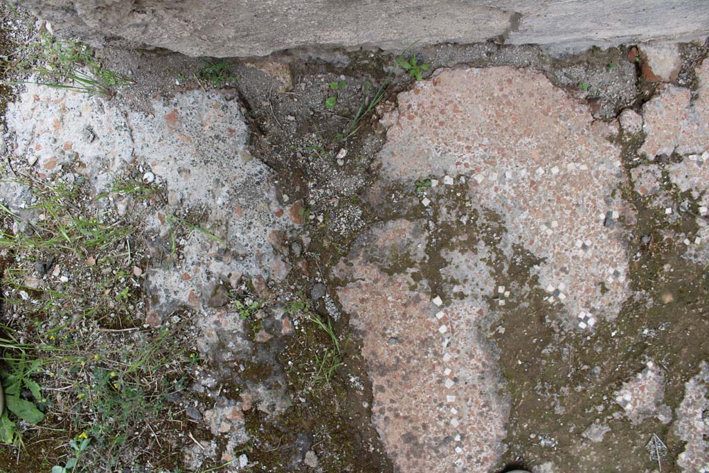 IX.5.9 Pompeii. May 2019. Room p, flooring near north wall and doorway, on left.
Foto Christian Beck, ERC Grant 681269 DÉCOR