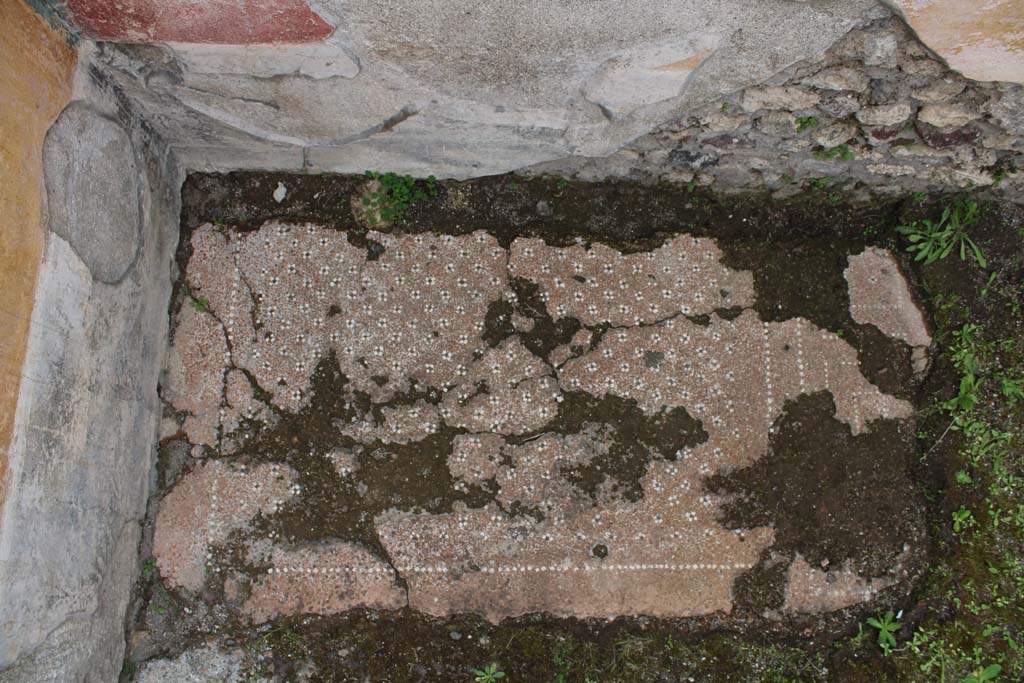 IX.5.9 Pompeii. May 2019. Room p, looking towards flooring in north-east corner.
Foto Christian Beck, ERC Grant 681269 DÉCOR