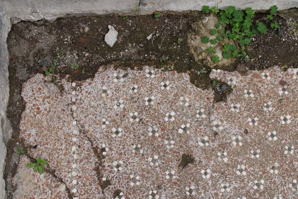 IX.5.9 Pompeii. May 2019. Room p, detail of flooring of cocciopesto with black and white tesserae in north-east corner.
Foto Christian Beck, ERC Grant 681269 DÉCOR