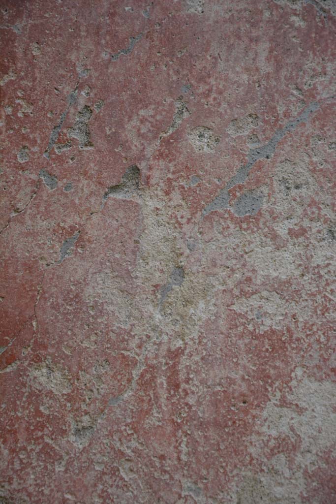 IX.5.9 Pompeii. March 2017. Room “p”, detail from centre of red side panel.
Foto Christian Beck, ERC Grant 681269 DÉCOR.