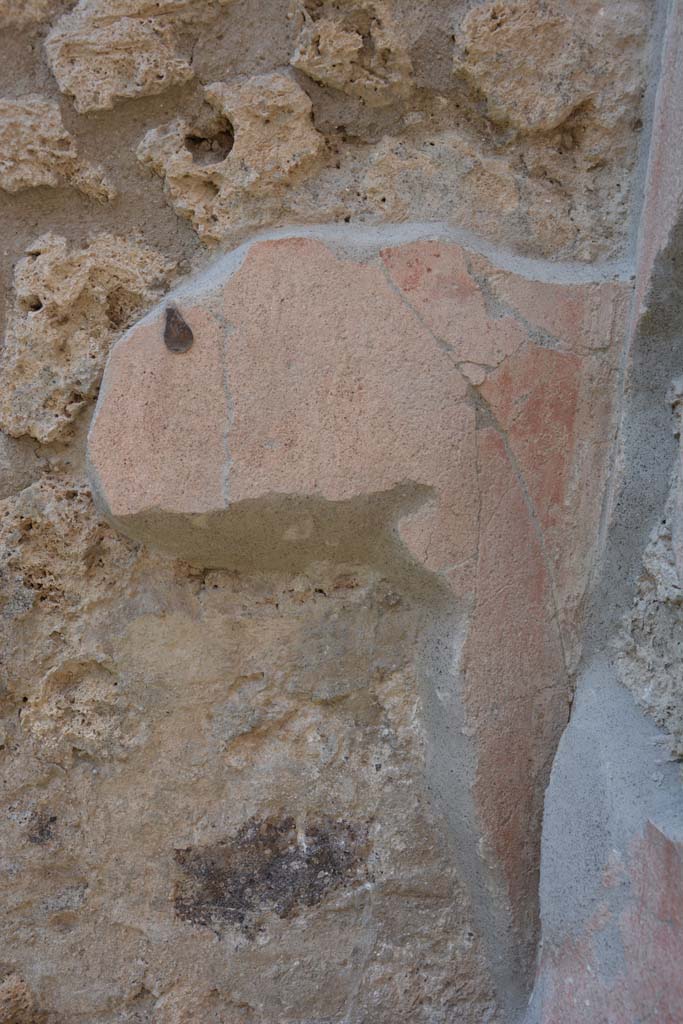IX.5.9 Pompeii. May 2017. Room �g�, detail from upper north wall in north-east corner.
Foto Christian Beck, ERC Grant 681269 D�COR.
