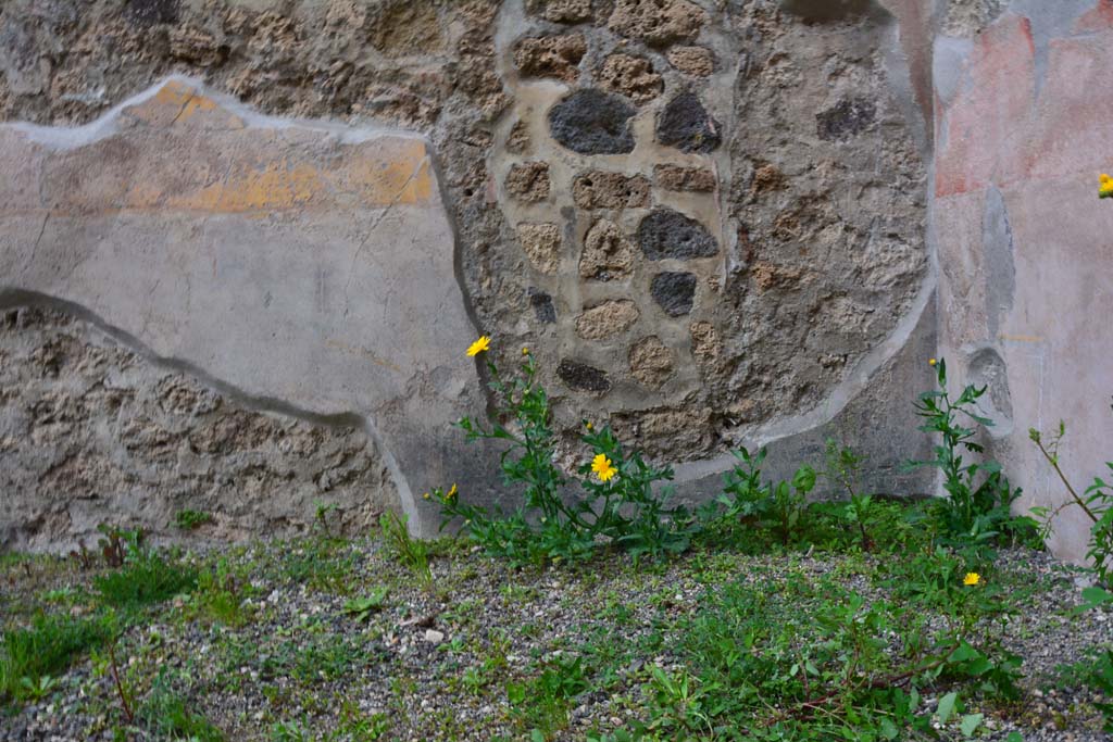 IX.5.9 Pompeii. March 2017. Room �g�, detail from zoccolo on lower north wall towards north-east corner.
Foto Christian Beck, ERC Grant 681269 D�COR.
