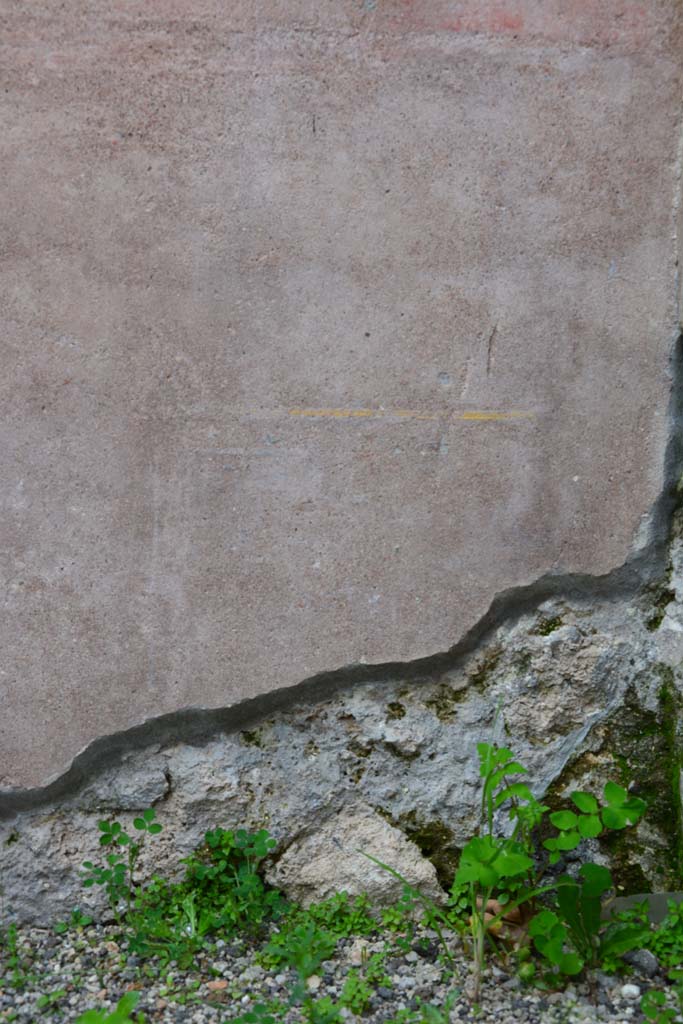 IX.5.9 Pompeii. March 2017. Room �g�, lower east wall at south end, detail from zoccolo.
Foto Christian Beck, ERC Grant 681269 D�COR.
