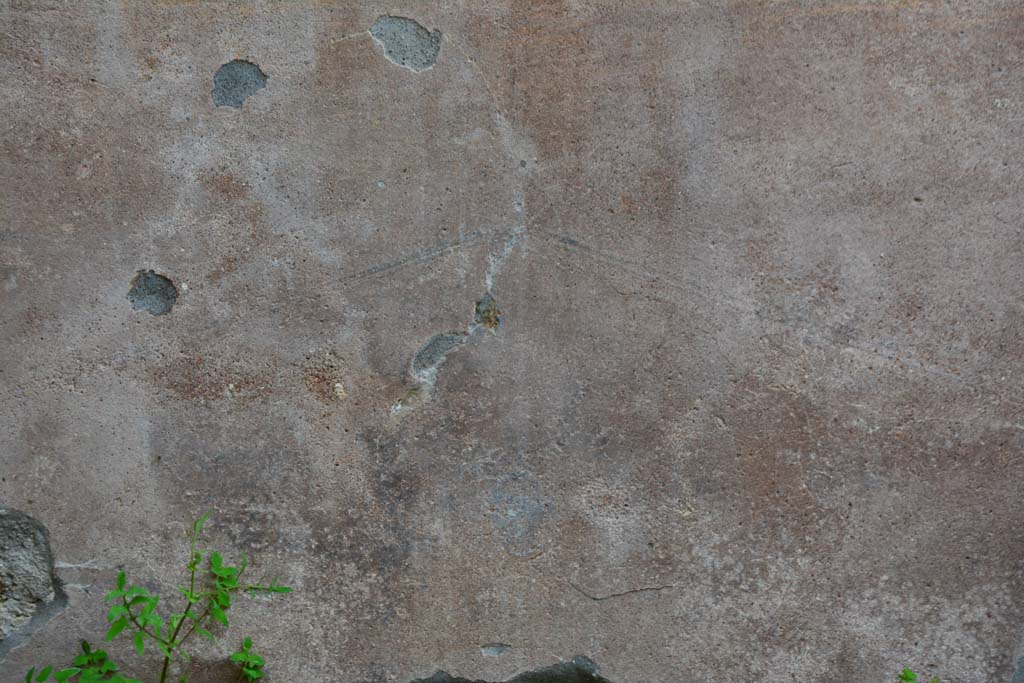 IX.5.9 Pompeii. March 2017. Room �g�, south wall, detail from centre of zoccolo below yellow central panel.
Foto Christian Beck, ERC Grant 681269 D�COR.

