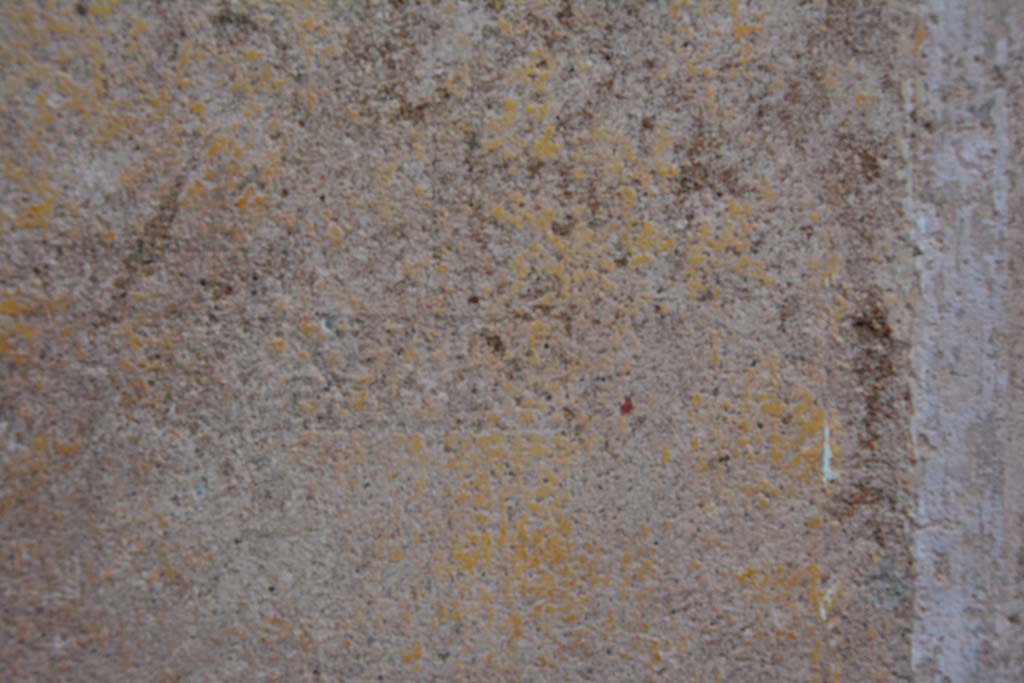 IX.5.9 Pompeii. March 2017. Room �g�, detail of border edging from yellow central panel on south wall.
Foto Christian Beck, ERC Grant 681269 D�COR.

