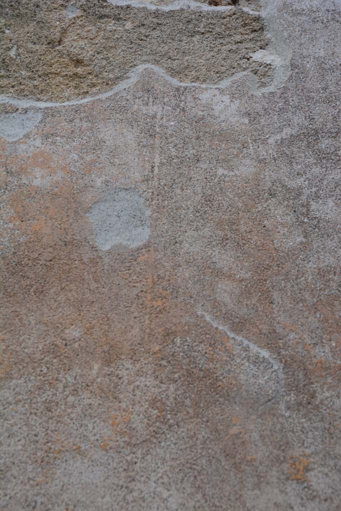 IX.5.9 Pompeii. March 2017. Room �h�, detail from upper north wall.
Foto Christian Beck, ERC Grant 681269 D�COR.

