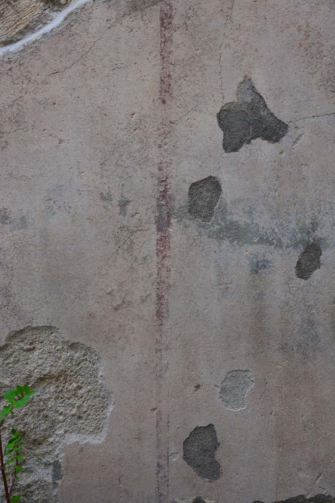 IX.5.9 Pompeii. March 2017. Room �h�, remaining painted decoration on north wall.
Foto Christian Beck, ERC Grant 681269 D�COR.
