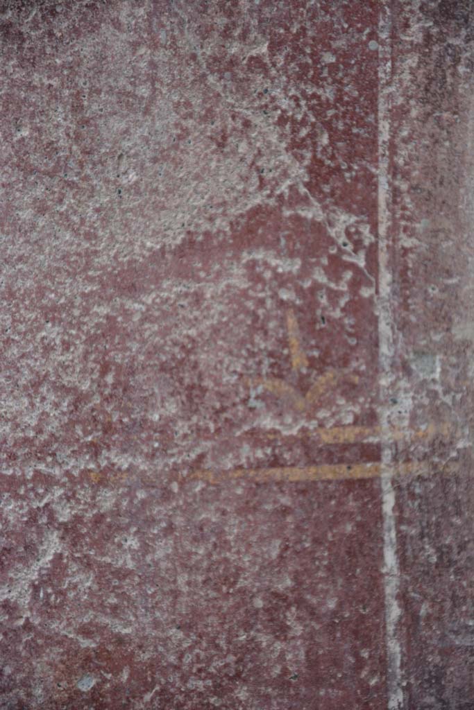 IX.5.9 Pompeii. March 2017. 
Room �i�, detail from lower west wall in north-west corner of north portico.
Foto Christian Beck, ERC Grant 681269 D�COR.
