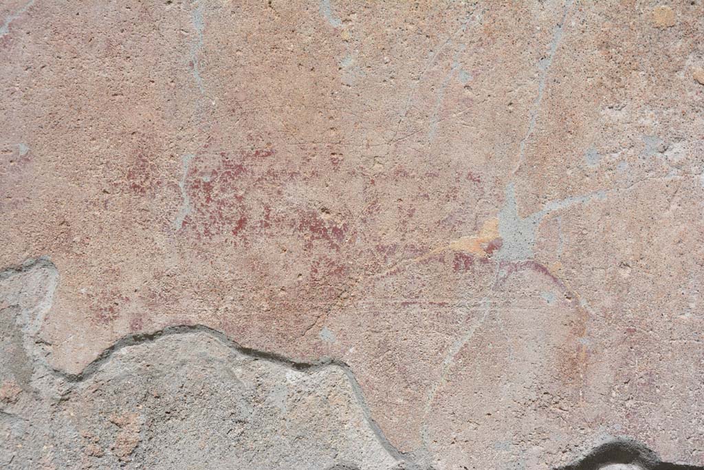 IX.5.9 Pompeii. May 2017. 
Room �i�, detail of painted decoration from east wall of portico on north side of doorway to room �n�.
Foto Christian Beck, ERC Grant 681269 D�COR.
