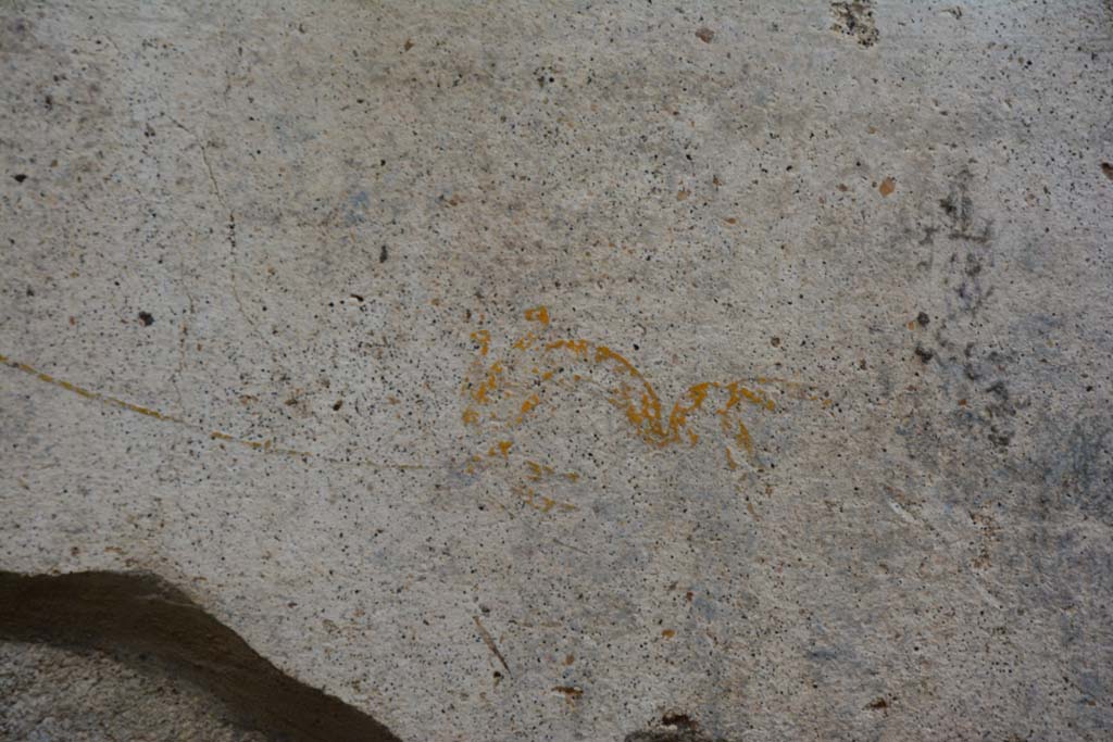 IX.5.11 Pompeii. March 2017. Room k, detail from zoccolo on east wall below central panel.
Foto Christian Beck, ERC Grant 681269 D�COR

