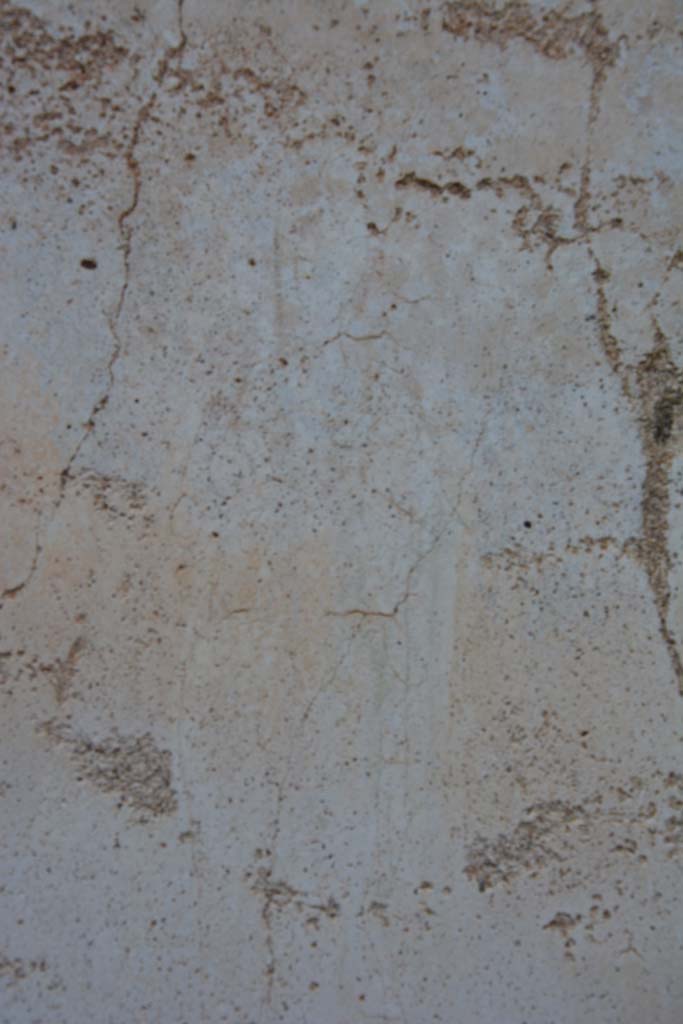 IX.5.11 Pompeii. March 2017. 
Room k, centre of panel at east end of north wall, figure of Muse Polyhymnia wrapped in her cloak.
Foto Christian Beck, ERC Grant 681269 D�COR.
