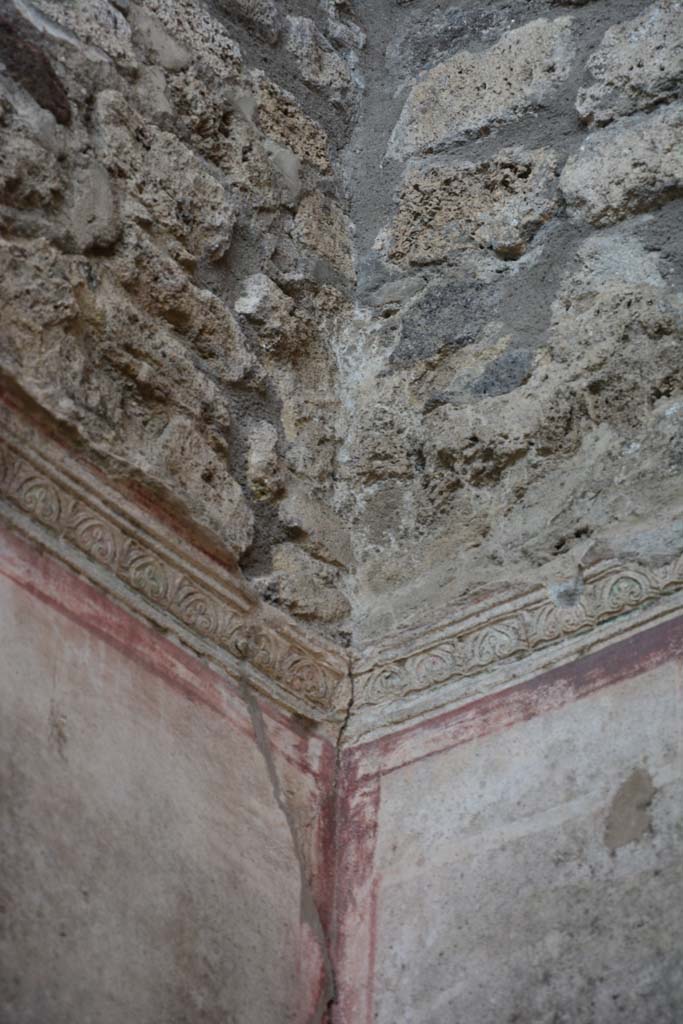 IX.5.11 Pompeii. March 2017. Room f, detail of stucco frieze from upper south-west corner. 
Foto Christian Beck, ERC Grant 681269 D�COR.
