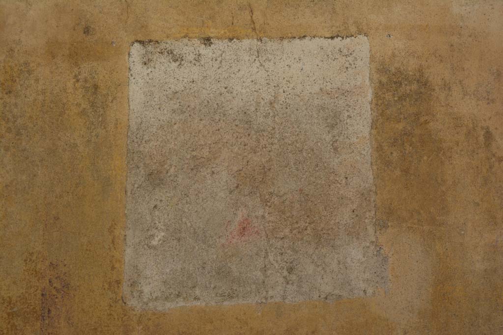 IX.5.11 Pompeii. May 2017. Room f, central wall painting from west wall.
Foto Christian Beck, ERC Grant 681269 D�COR.

