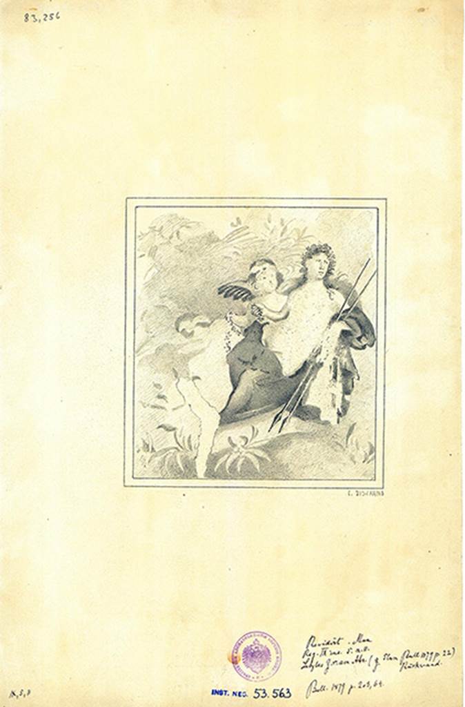 IX.5.11 Pompeii. Room 7, copy by Discanno of painting of Adonis or Narcissus from west wall of cubiculum.
DAIR 83.256. Photo � Deutsches Arch�ologisches Institut, Abteilung Rom, Arkiv. 
See http://arachne.uni-koeln.de/item/marbilder/5343156
According to Mau, this painting (0.41 high x 0.39 wide) showed a sitting Narcissus, his legs to the left and his left arm resting wrapped in a red cloak: he was crowned with leaves in his long hair: in his left hand were two javelins with the tips facing down. His face was turned to the viewer, his eyes looking down where water was represented, his image was not visible, but the relative part of the painting was damaged. Behind Narcissus was a Cupid, watching his face and holding a garland in his right hand, of which a part fell onto the thigh of the young man, whilst another part was supported by the right hand of the same. In the background were bushes.
See BdI, 1879, (p.203-4)
According to Fiorelli, in this painting (0.37 x 0.40) one could see Adonis sitting to the right, the upper part of his body naked, whilst the lower part was wrapped in an ample red mantle of which the edge reposed on his left arm. In his left arm were two lances, and a garland of flowers seemed to have been in the other hand. Near to him was a Cupid also holding a garland.
See Notizie degli Scavi di Antichit�, 1877, (p.249)
