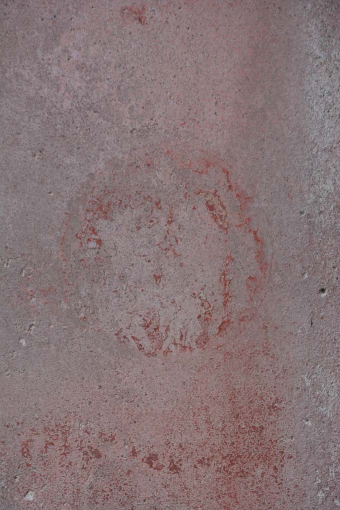 IX.5.11 Pompeii. March 2017. Room e, detail from medallion on east end of south wall. 
Foto Christian Beck, ERC Grant 681269 D�COR.
