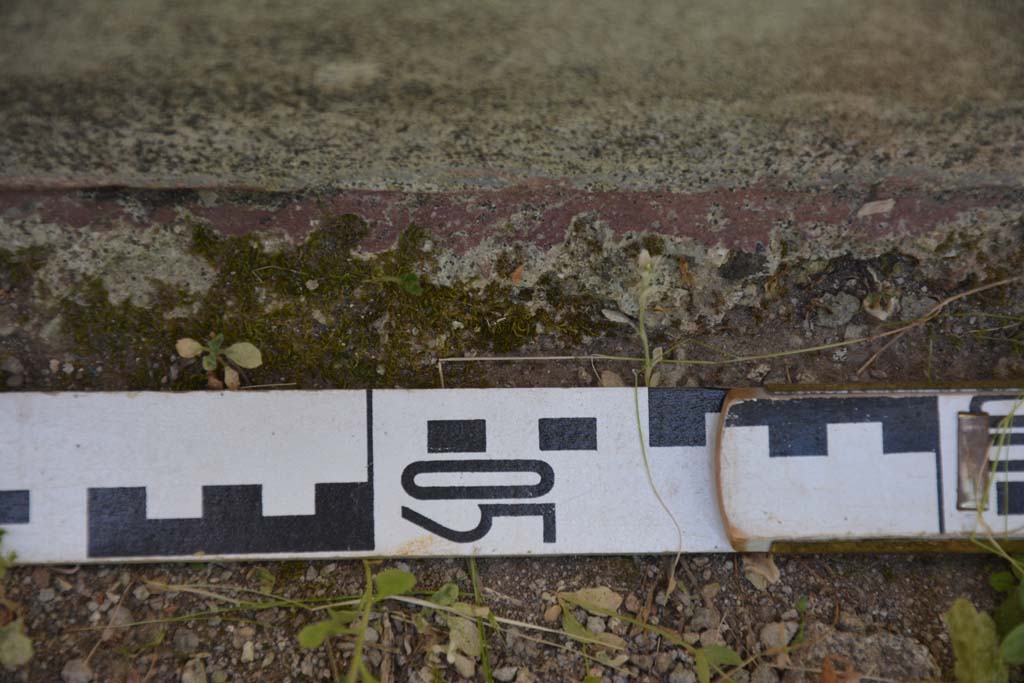 IX.5.11 Pompeii. May 2017. Room d, detail of flooring near lower north wall.
Foto Christian Beck, ERC Grant 681269 D�COR.

