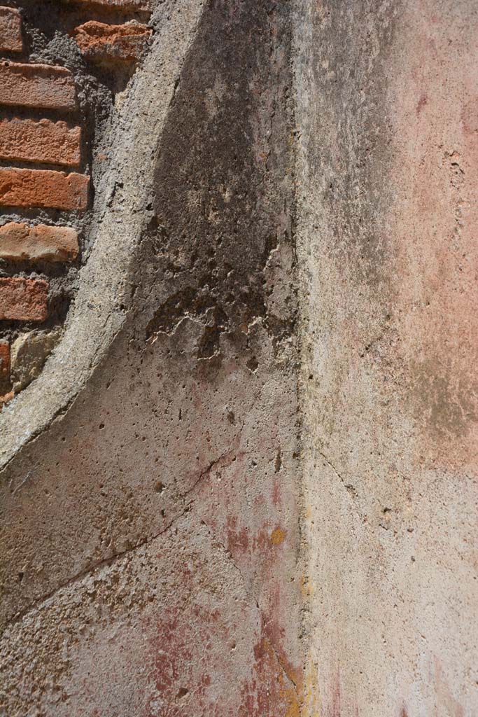 IX.5.11 Pompeii. May 2017. Room c, detail of painted decoration in north-west corner.      
Foto Christian Beck, ERC Grant 681269 D�COR
