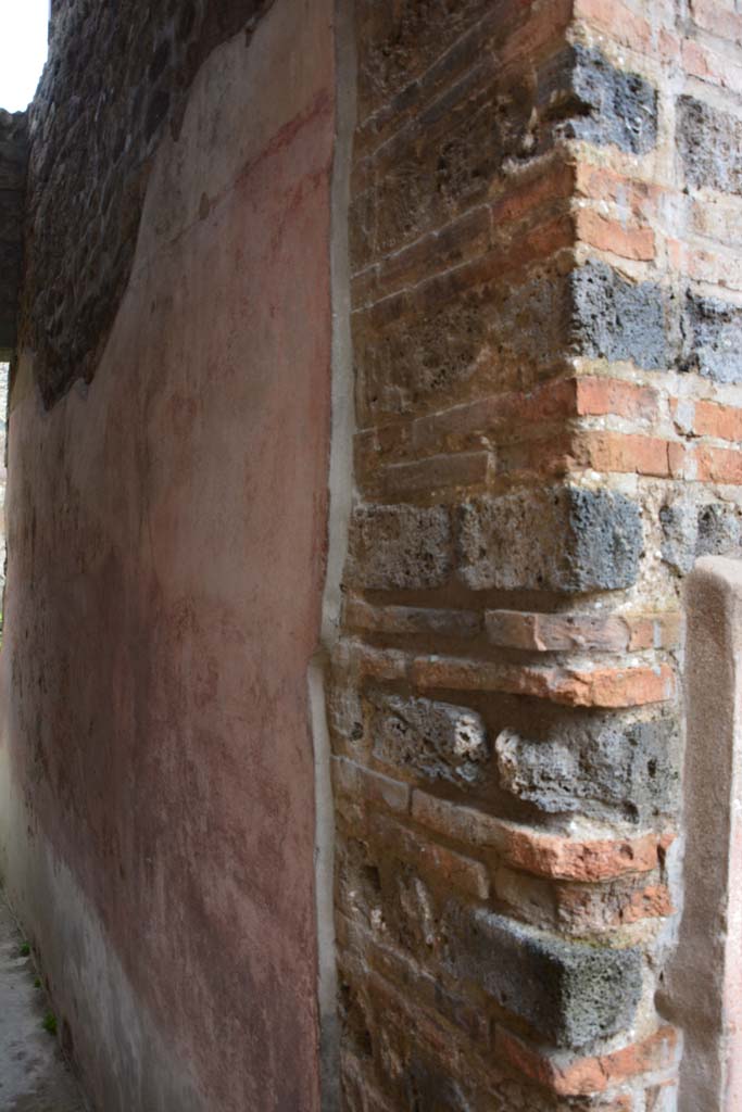 IX.5.11 Pompeii. March 2017. Room m, looking south along west wall from north end. 
Foto Christian Beck, ERC Grant 681269 D�COR.


