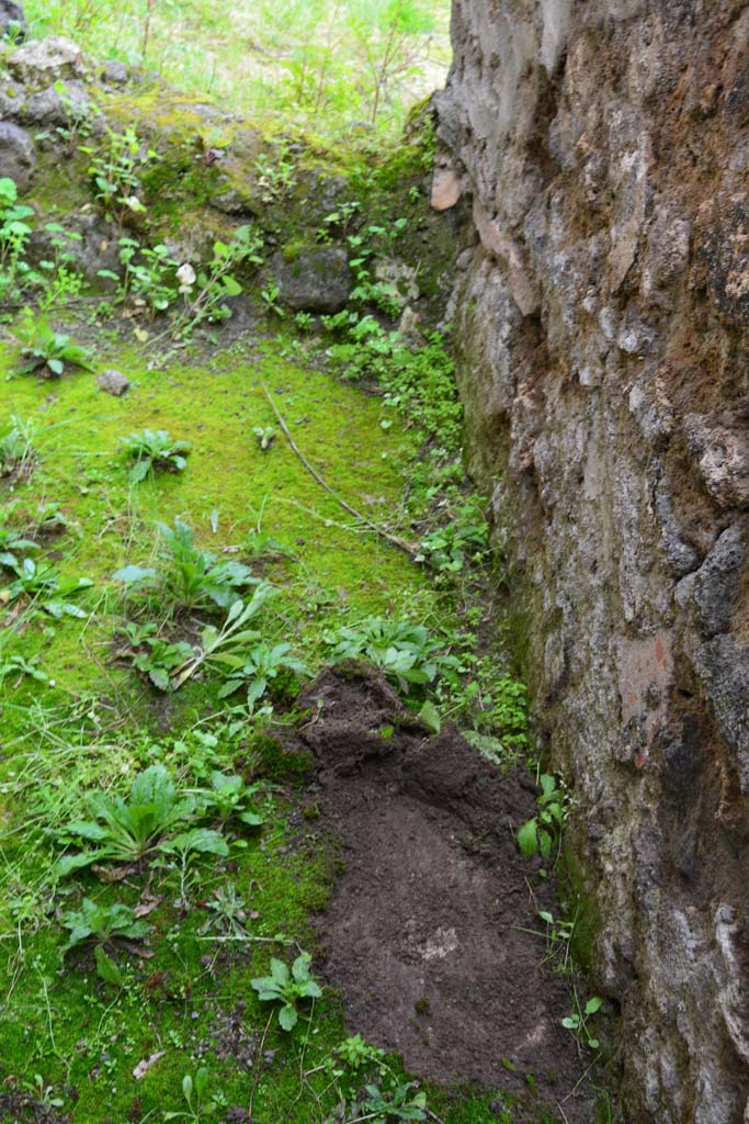 IX.5.11 Pompeii. March 2017. Room u, looking east along south wall in room under stairs.
Foto Christian Beck, ERC Grant 681269 D�COR.
