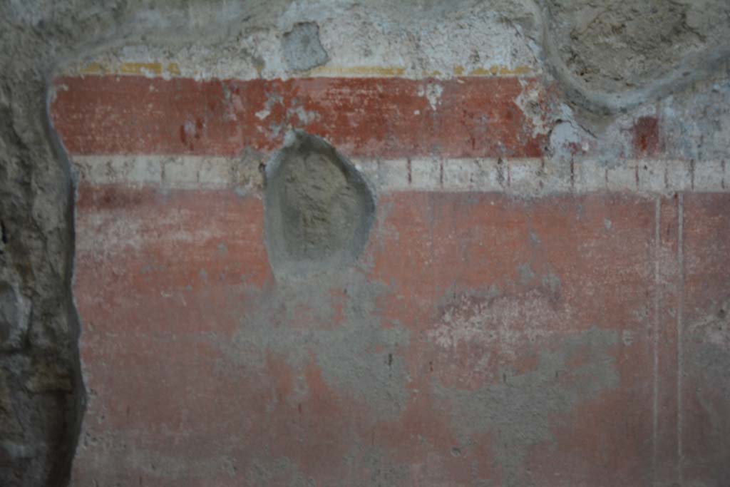 IX.5.11 Pompeii. March 2017. Room g, detail from zoccolo in centre of lower south wall. 
Foto Christian Beck, ERC Grant 681269 D�COR.



