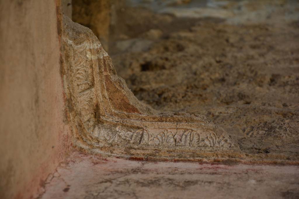IX.5.11 Pompeii. May 2017. Room h, detail of stucco cornice in upper north-east corner.
Foto Christian Beck, ERC Grant 681269 D�COR.


