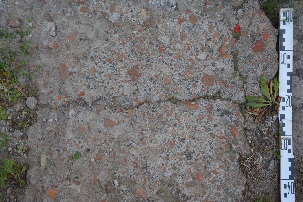 IX.5.11 Pompeii. May 2017. Room l (L), detail of flooring.
Foto Christian Beck, ERC Grant 681269 D�COR.

