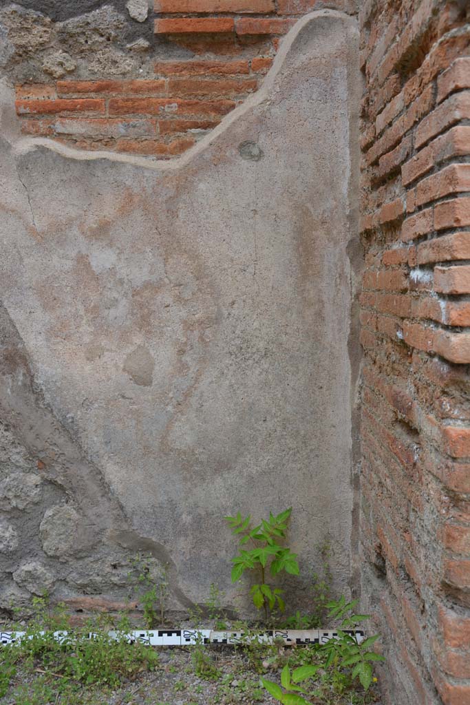IX.5.12 Pompeii. May 2017. Detail from west wall at north end.
Foto Christian Beck, ERC Grant 681269 D�COR.
