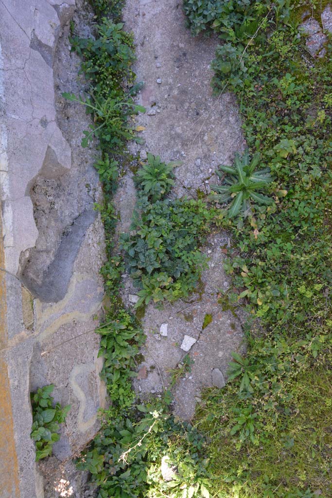 IX.5.14 Pompeii. May 2017. Room �L�, flooring.
Foto Christian Beck, ERC Grant 681269 D�COR.
