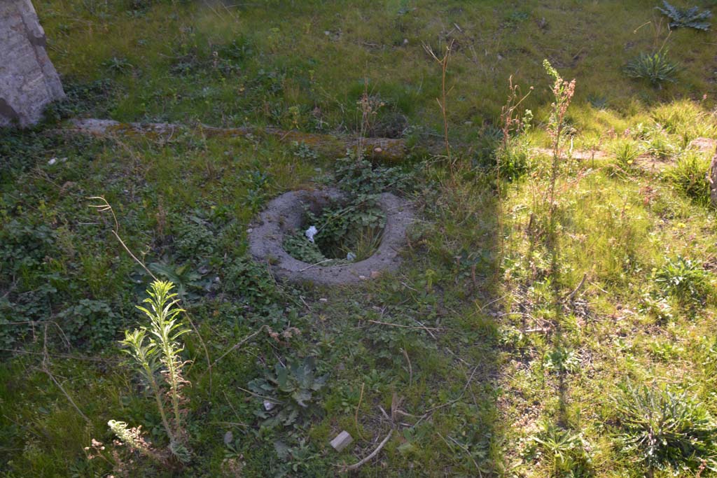 IX.5.14 Pompeii. March 2017.  Peristyle �k�, cistern-mouth in east portico in south-east corner. 
Foto Christian Beck, ERC Grant 681269 D�COR.

