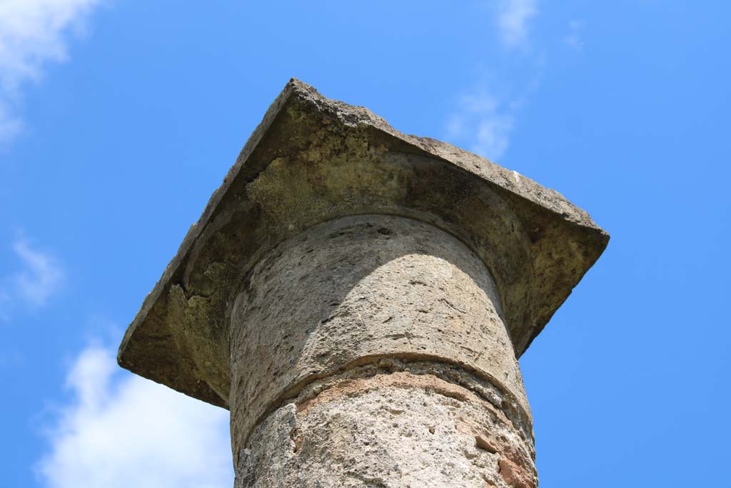 IX.5.14 Pompeii. May 2019. Room �k�, detail from top of column.
Foto Christian Beck, ERC Grant 681269 D�COR.
