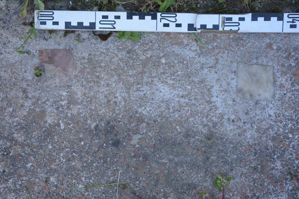 IX.5.14 Pompeii. May 2017. Peristyle �k�, detail from flooring at base of south wall.
Foto Christian Beck, ERC Grant 681269 D�COR.

