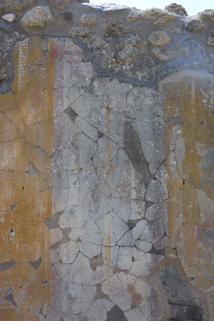 IX.5.14 Pompeii. May 2017. 
Peristyle �k�, detail from compartment separating two panels, showing narrow painted candelabra.
Foto Christian Beck, ERC Grant 681269 D�COR.

