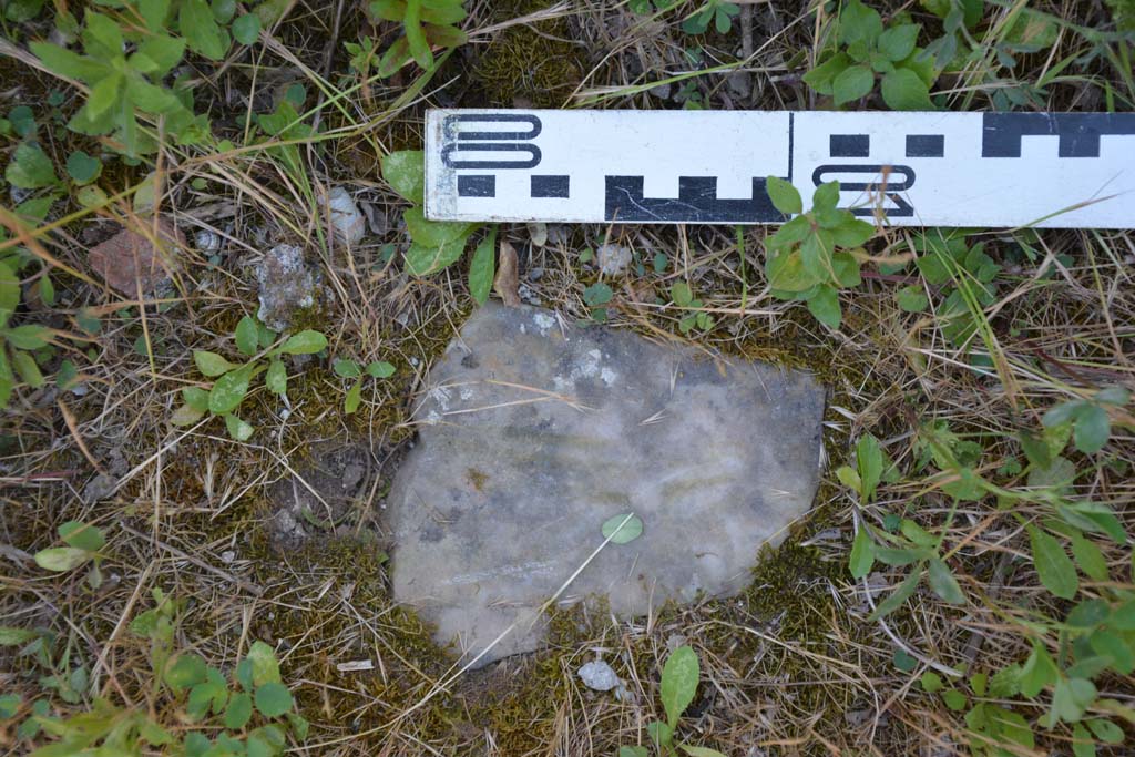 IX.5.14 Pompeii. May 2017. Peristyle �k�, flooring. 
Foto Christian Beck, ERC Grant 681269 D�COR.

