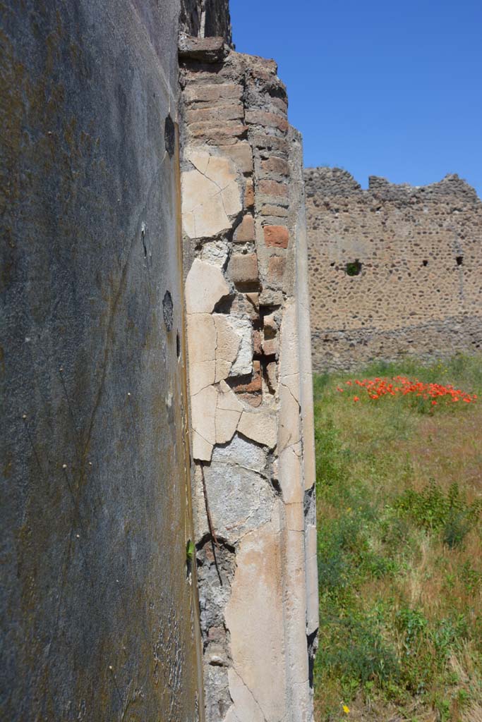 IX.5.14 Pompeii. May 2017. 
Peristyle �k�, looking north to detail of half-pilaster on west wall in south-west corner.
Foto Christian Beck, ERC Grant 681269 D�COR.
