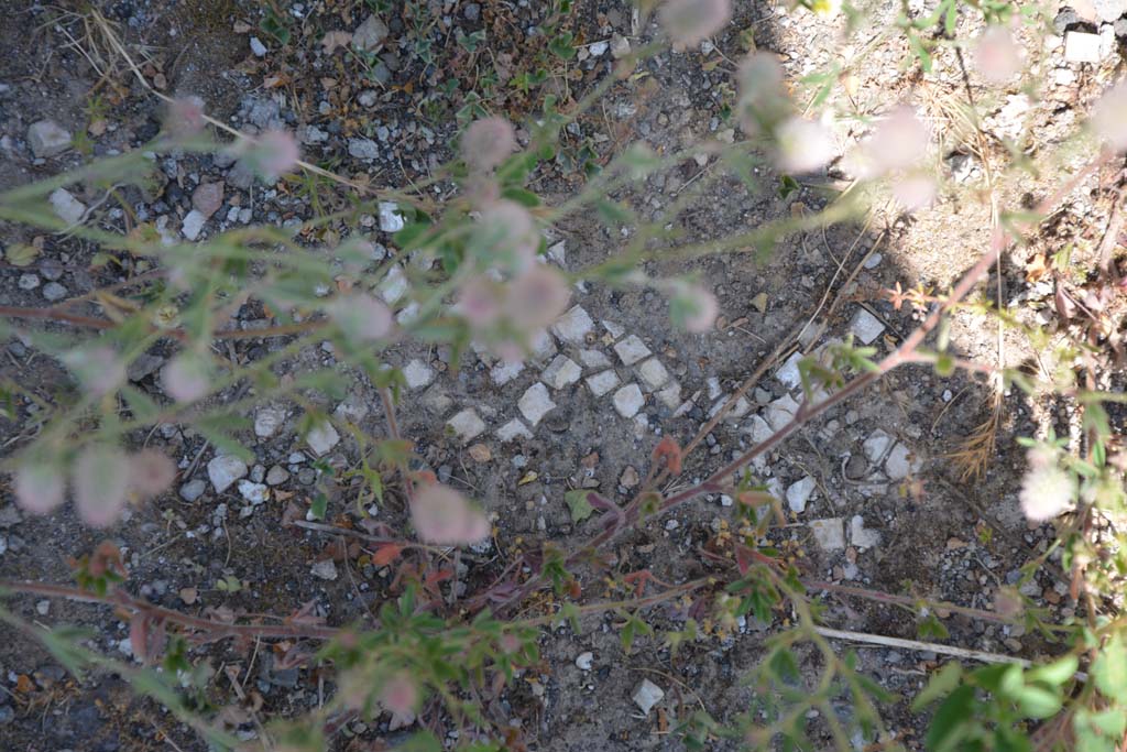IX.5.14 Pompeii. May 2017. Room �m�, remaining white mosaic in floor.
Foto Christian Beck, ERC Grant 681269 D�COR.

