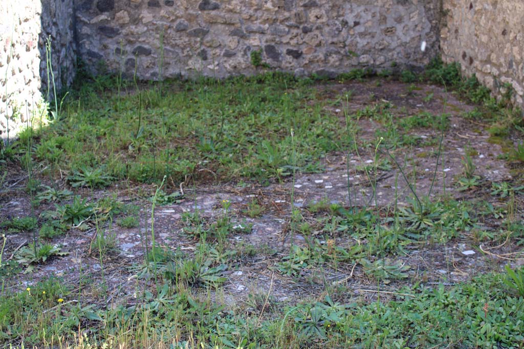 IX.5.14 Pompeii. May 2019. Room �n�, looking east across flooring.
Foto Christian Beck, ERC Grant 681269 D�COR.
