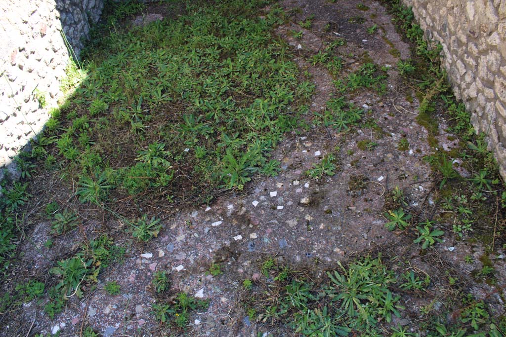 IX.5.14 Pompeii. May 2019. Room �n�, flooring.
Foto Christian Beck, ERC Grant 681269 D�COR.
