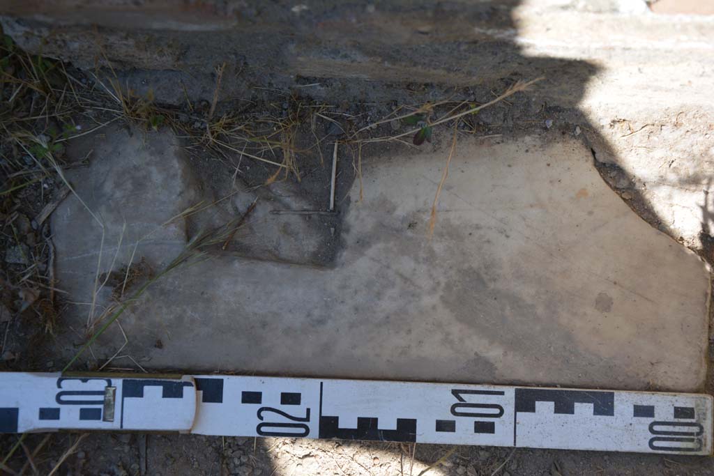 IX.5.14 Pompeii. May 2017. Room �o�, detail from doorway threshold. 
Foto Christian Beck, ERC Grant 681269 D�COR.
