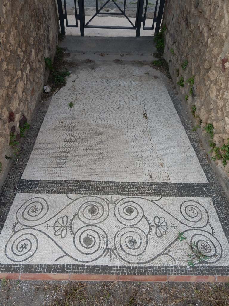 IX.5.14 Pompeii. June 2019.
Looking east across mosaic floor of fauces (room “a”), from atrium towards entrance doorway.
Photo courtesy of Buzz Ferebee.