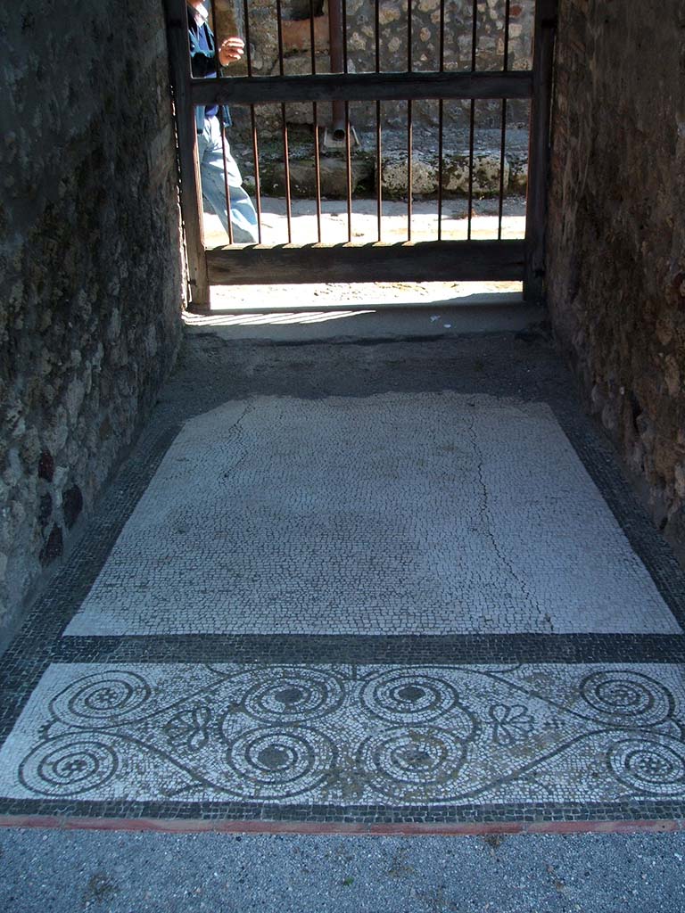 IX.5.14 Pompeii. May 2005.
Looking east across mosaic floor of fauces (room “a”), from atrium towards entrance doorway.